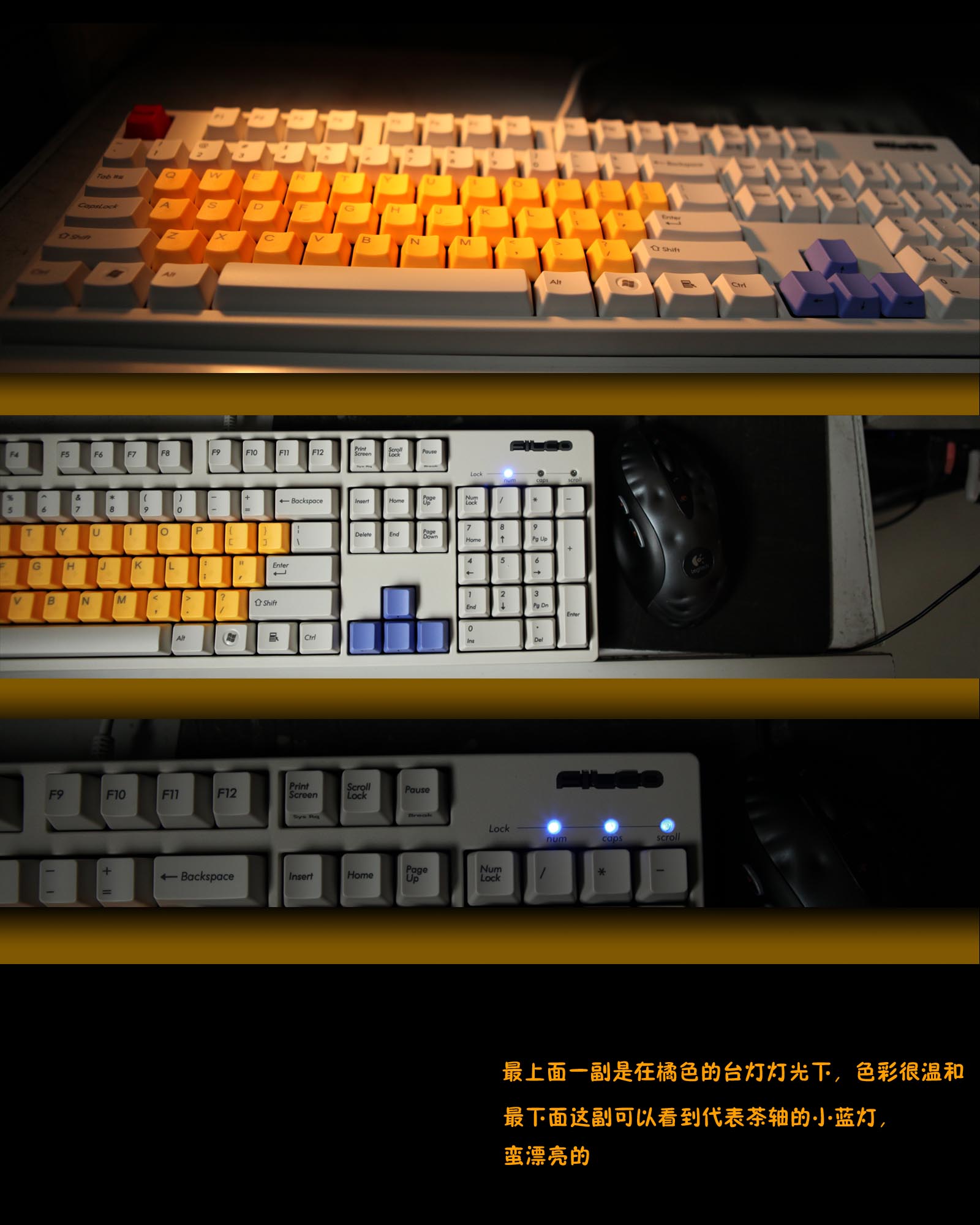 �����õ�filcoʥ�ְײ裬˵�¸���