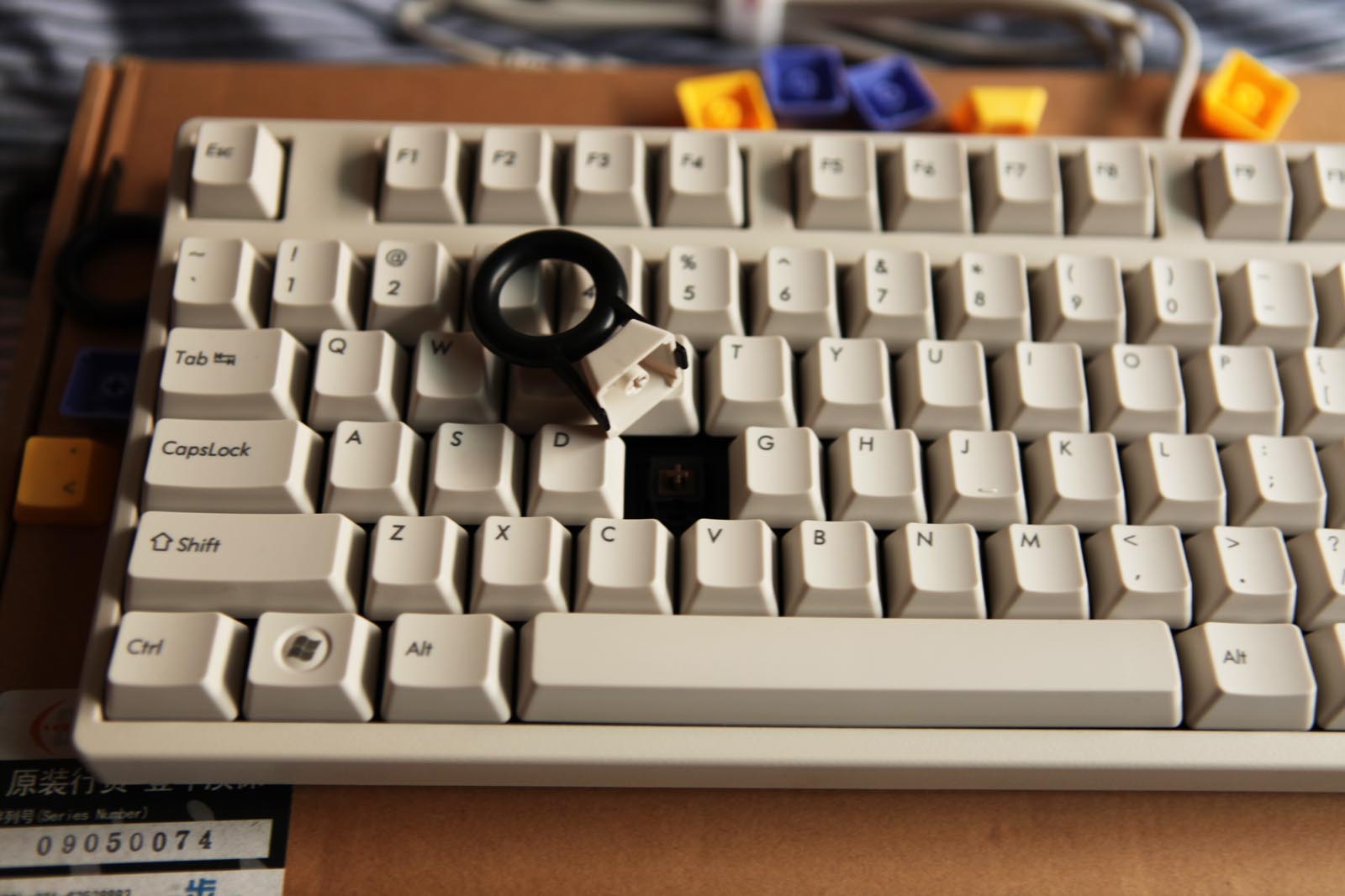 �����õ�filcoʥ�ְײ裬˵�¸���