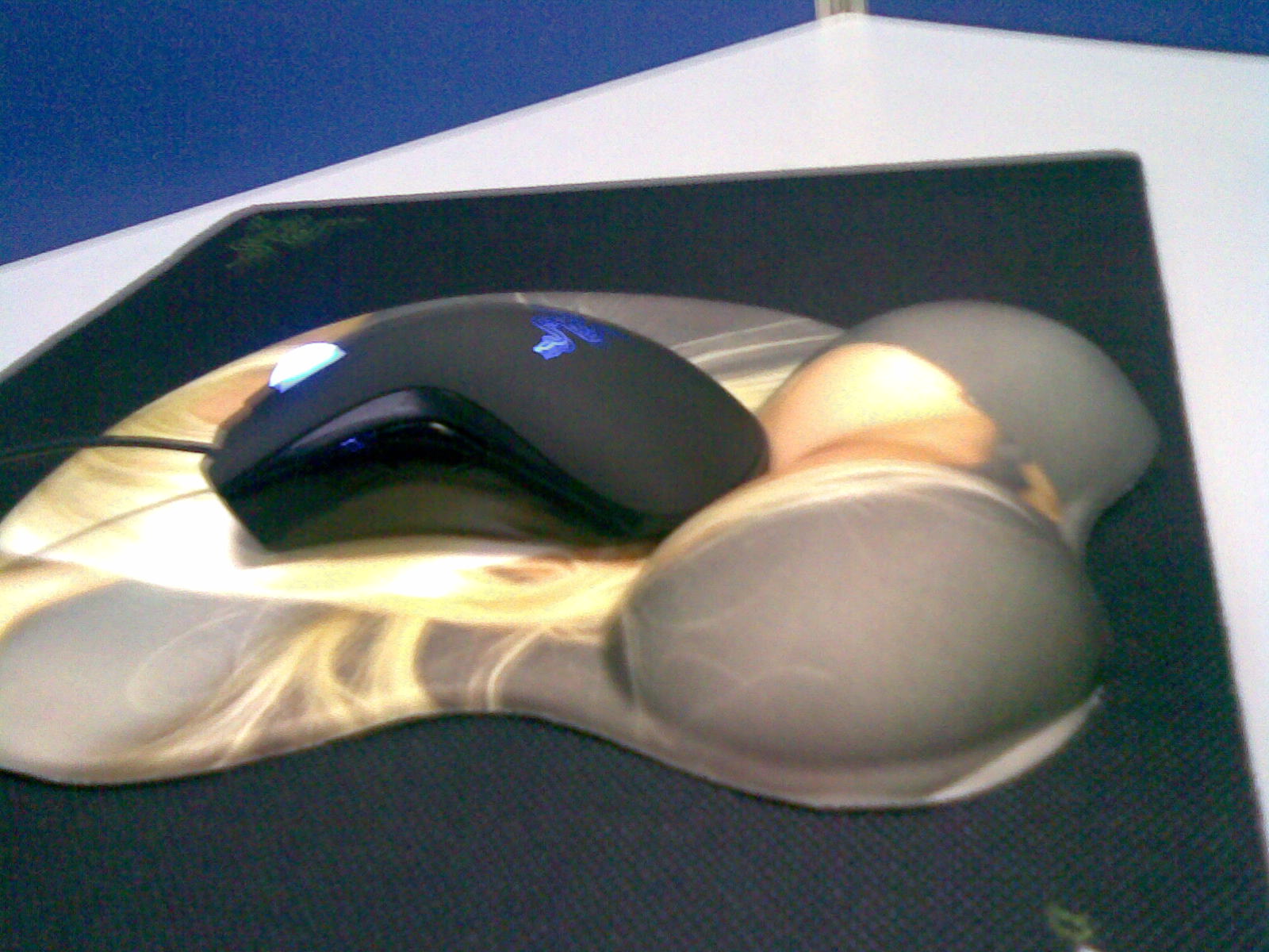 20100316423.jpg