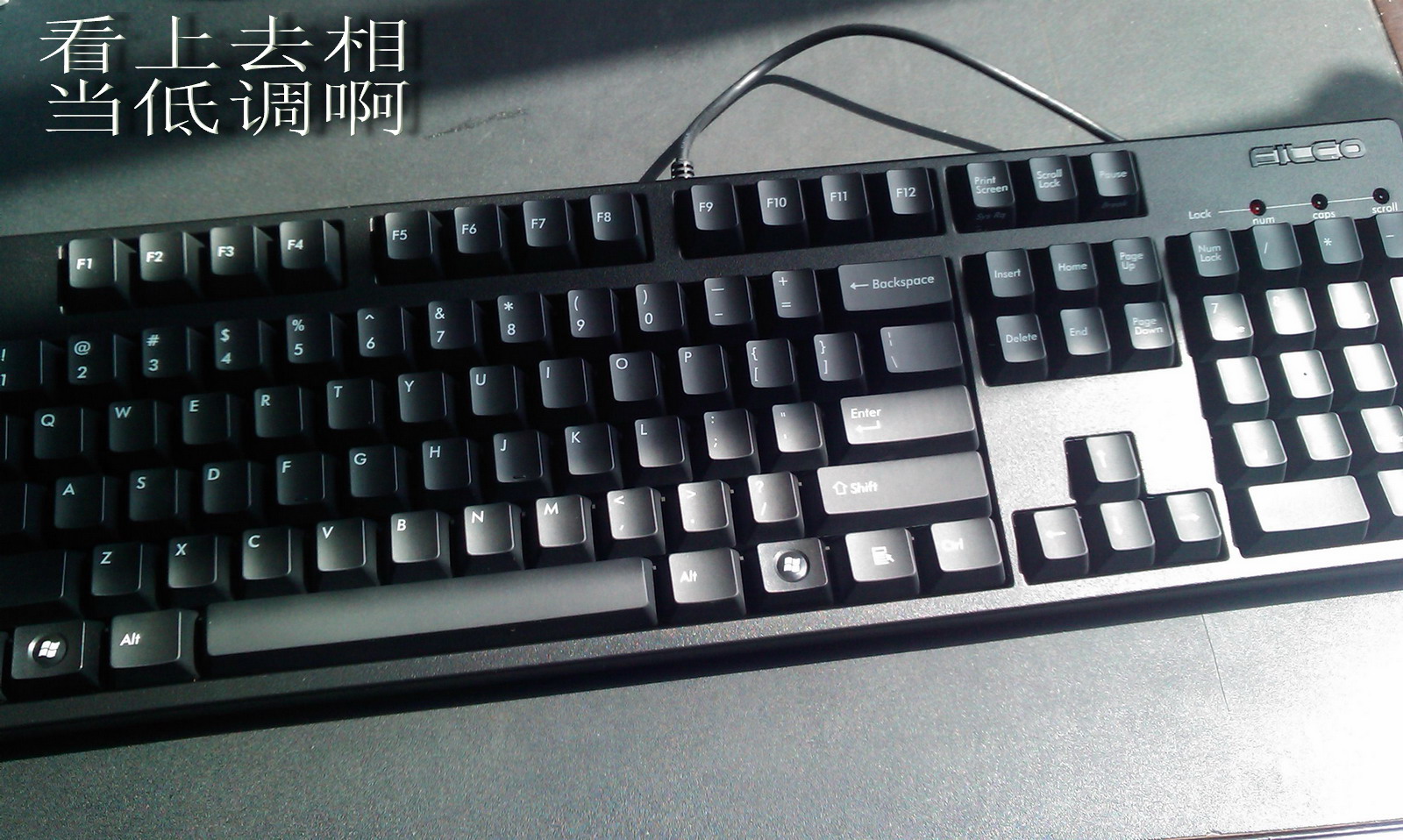 IMAG0073.jpg