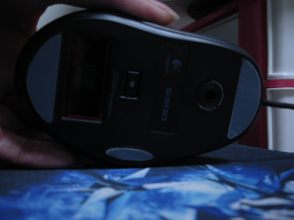 DSCN2206.JPG