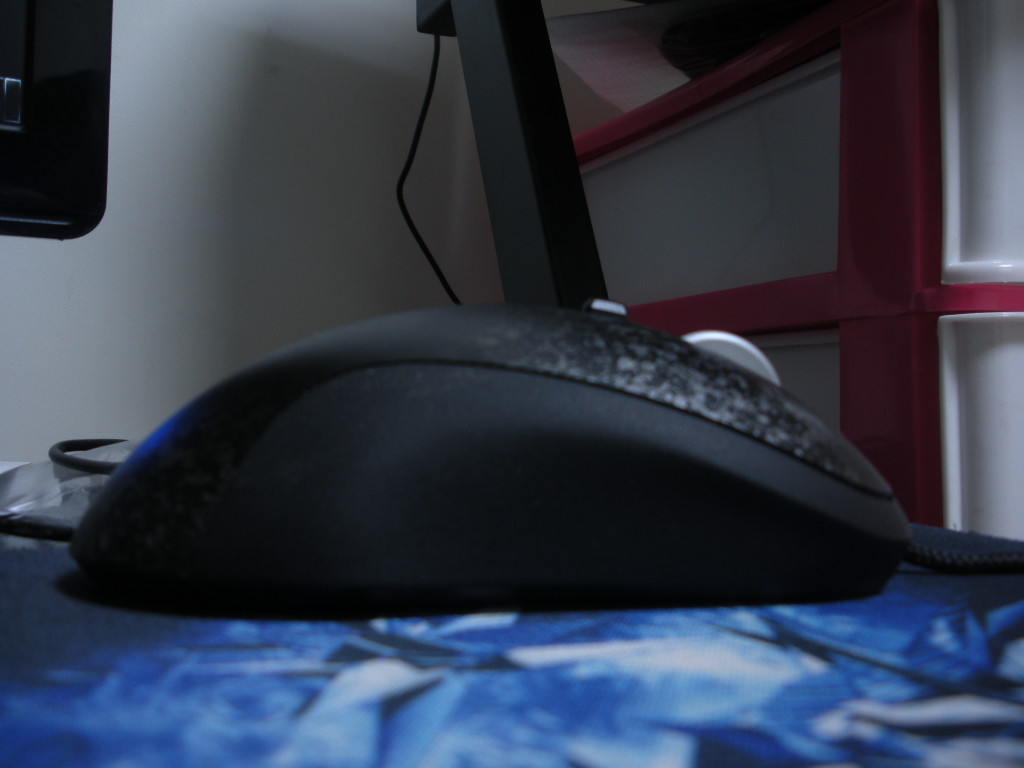 DSCN2205.JPG