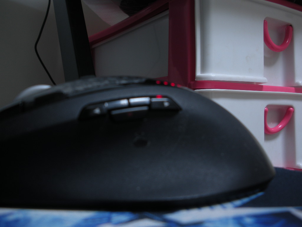 DSCN2198.JPG