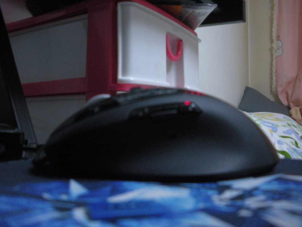 DSCN2199.JPG