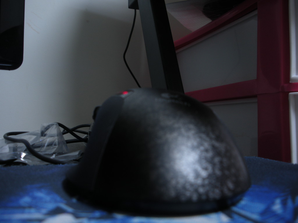 DSCN2204.JPG