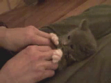 @�� QQ�����ﻹ���أ�ͻȻ�������˰�
