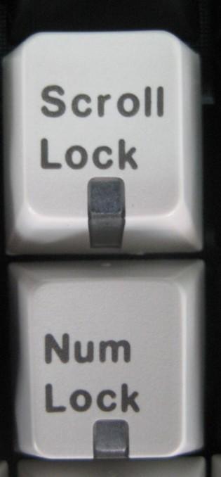11.JPG