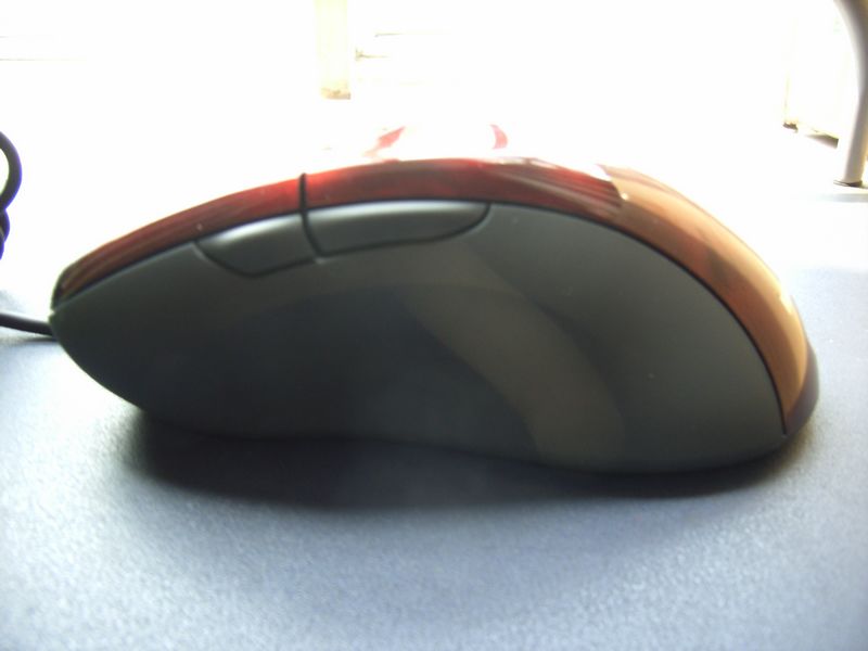 2010.2.16 031.jpg