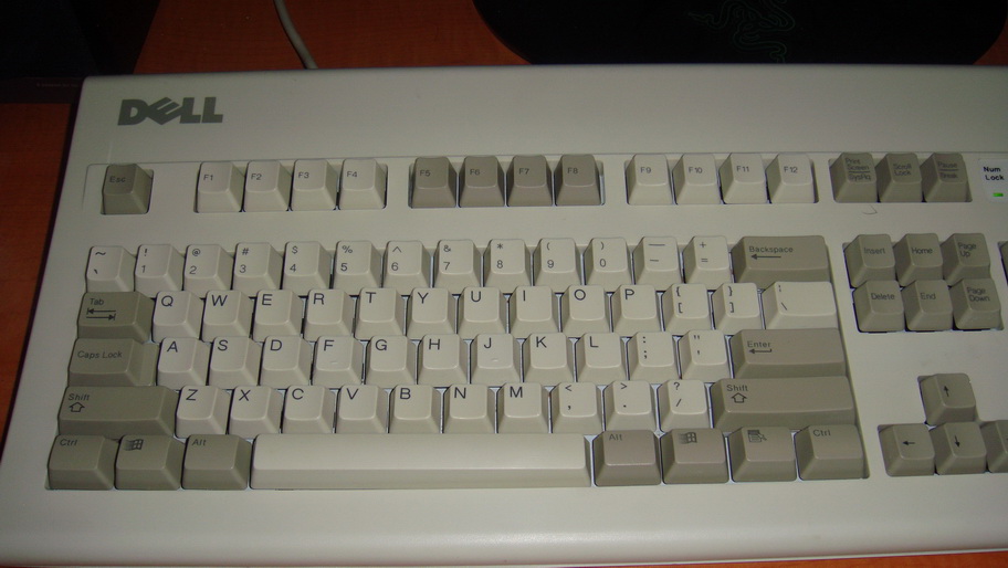 DSC00591_СС.JPG