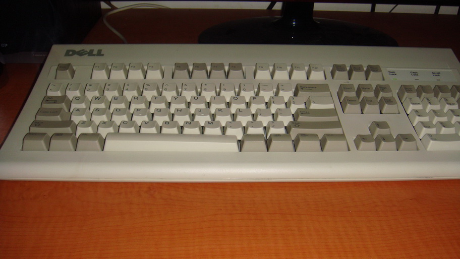 DSC00590_СС.JPG