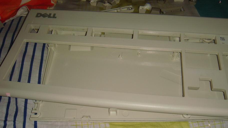 DSC00584_СС.JPG