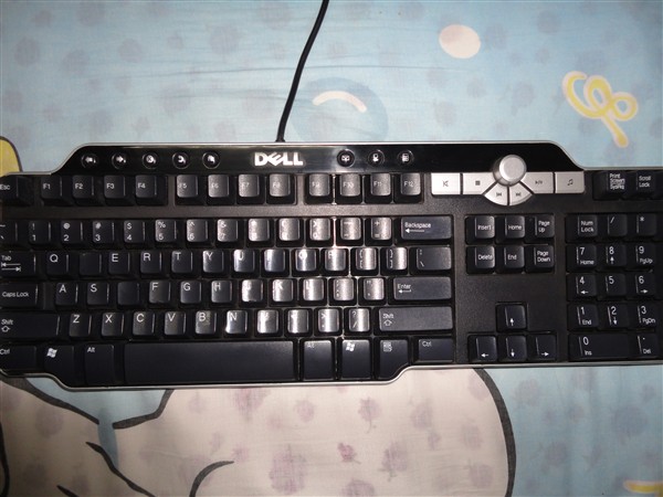 DSC00273_.jpg