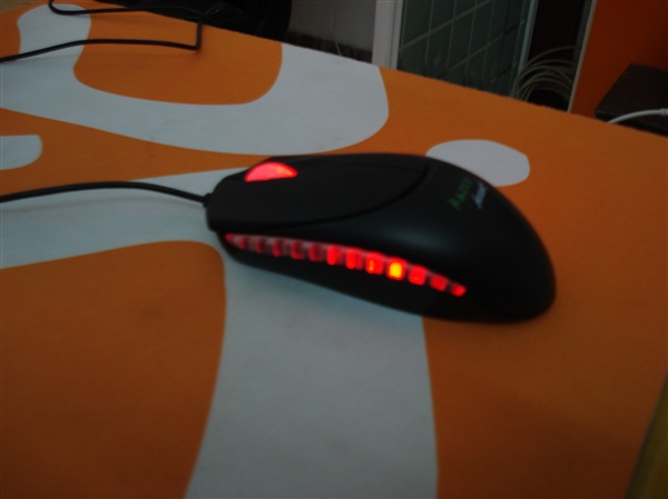 DSC00713_.jpg