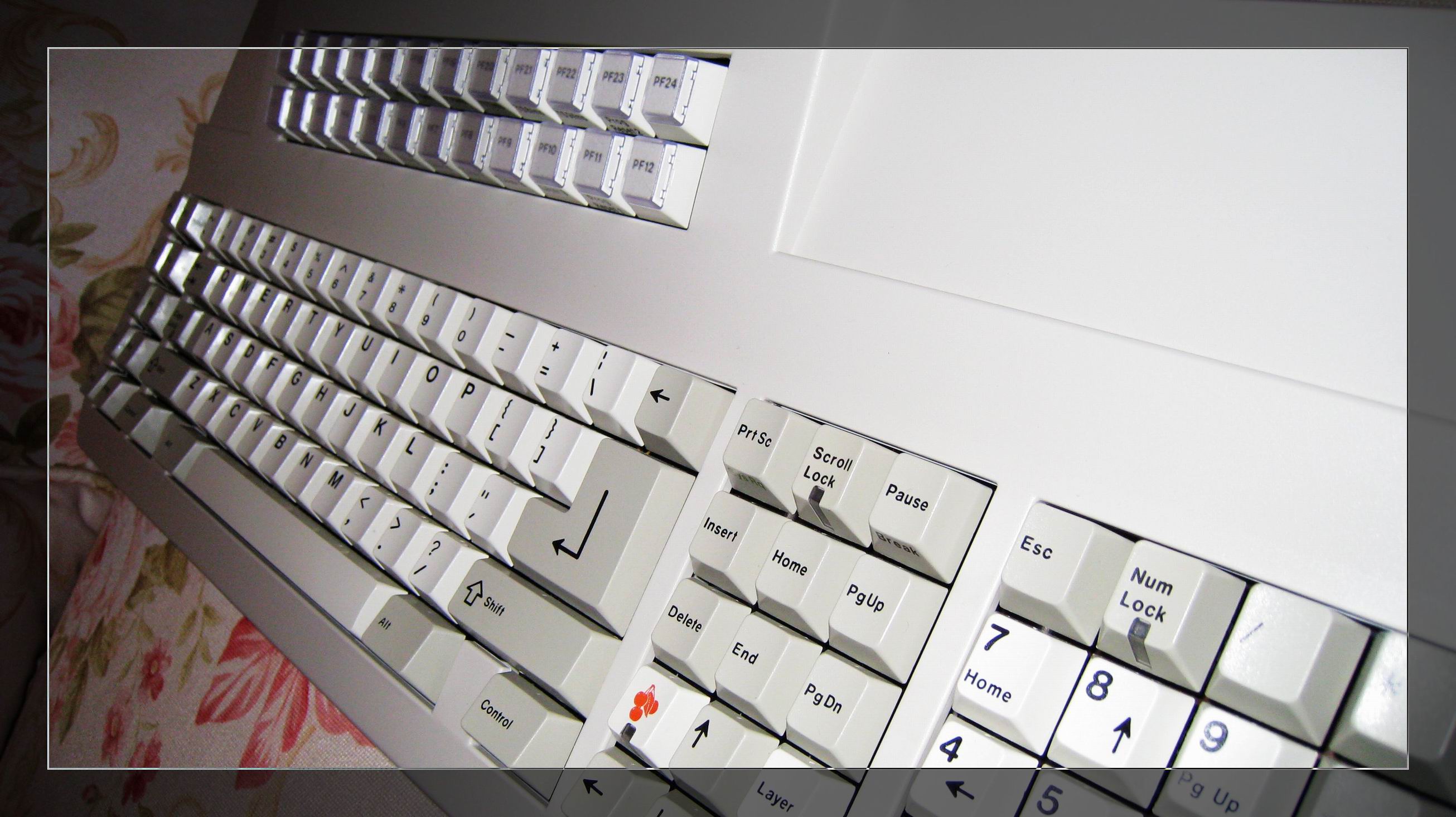 ������С IMG_2140.JPG