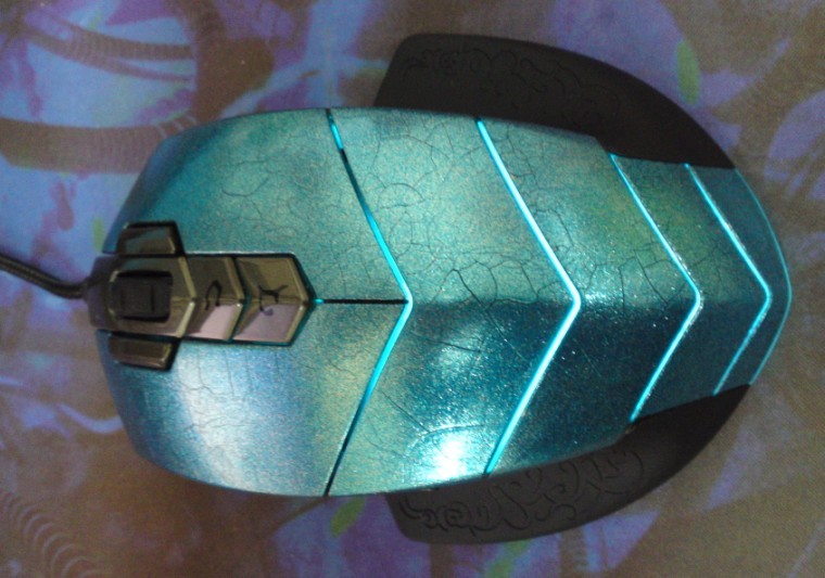 WOWר���󡪡�DIY������ȸ�ǹ���������Ȼ�����ơ�����ͼ������