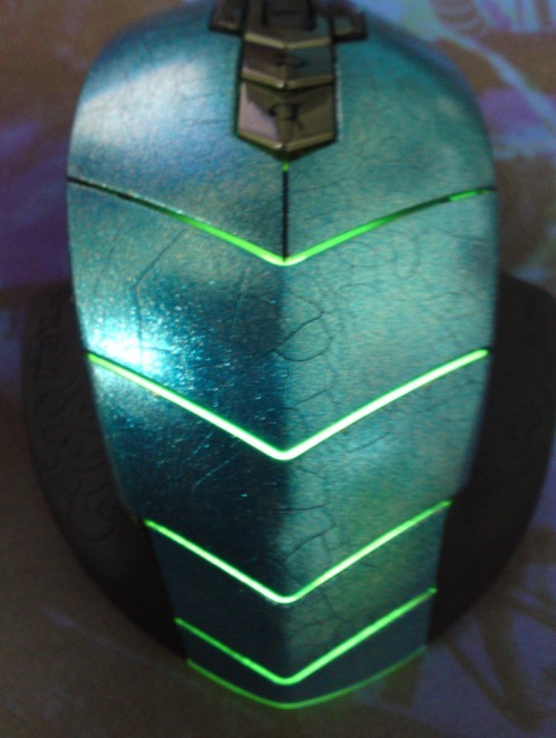 WOWר���󡪡�DIY������ȸ�ǹ���������Ȼ�����ơ�����ͼ������