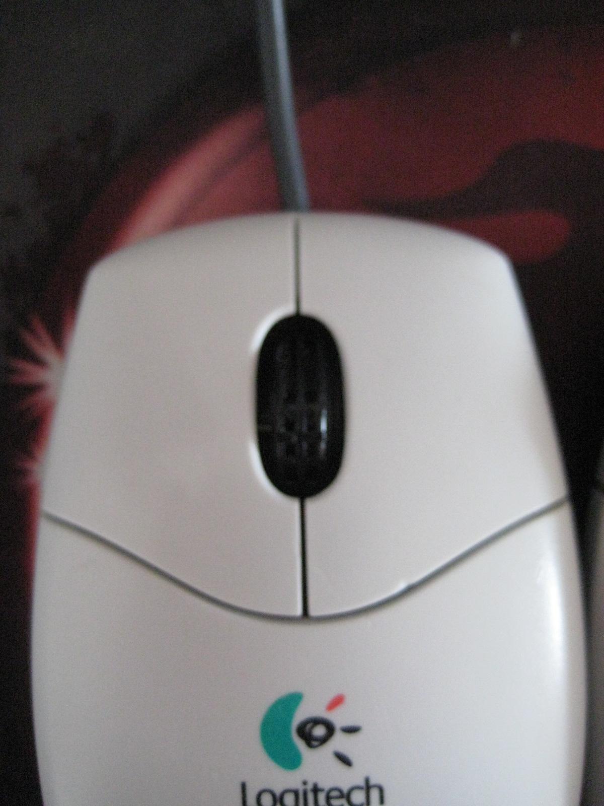 16.JPG