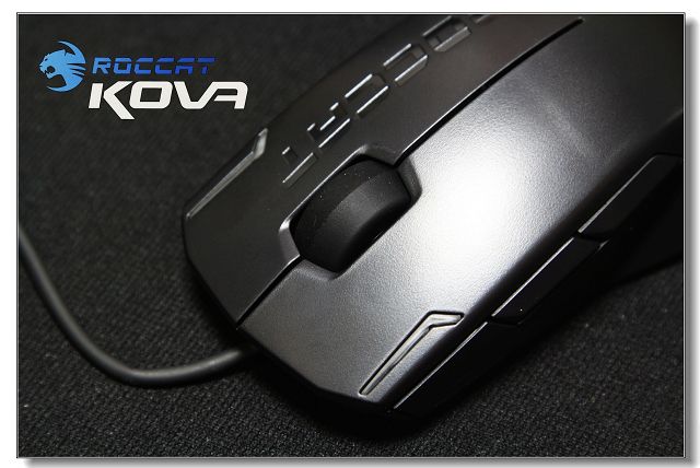 ��2��С�����µ���KOVA��������ͼ~ֱ�����~~