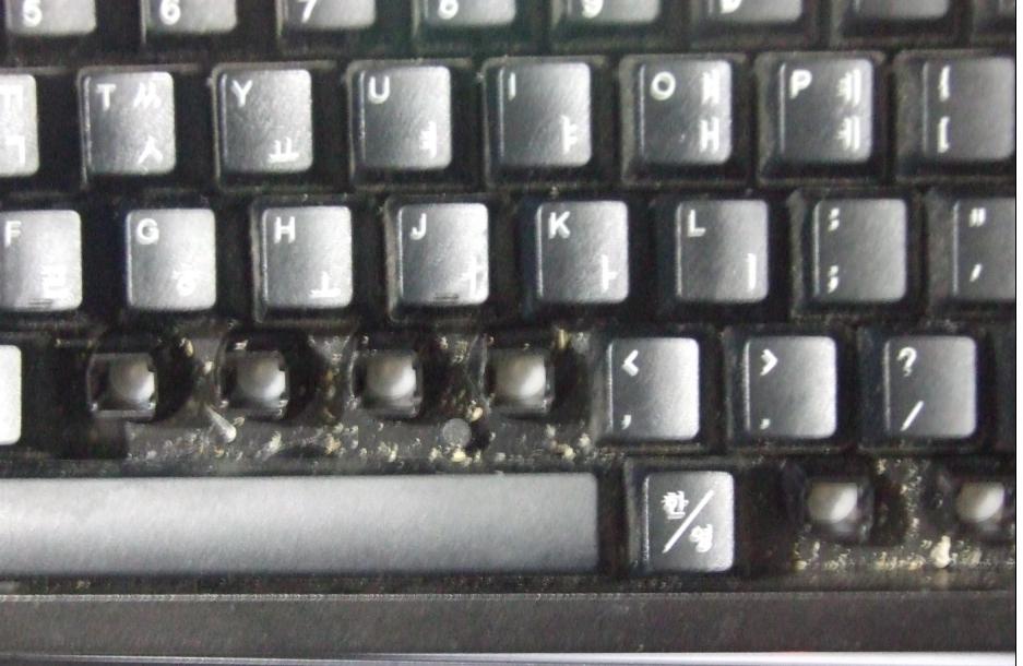 ʸ£ȫңа׻ĶһĻ䣬9ô