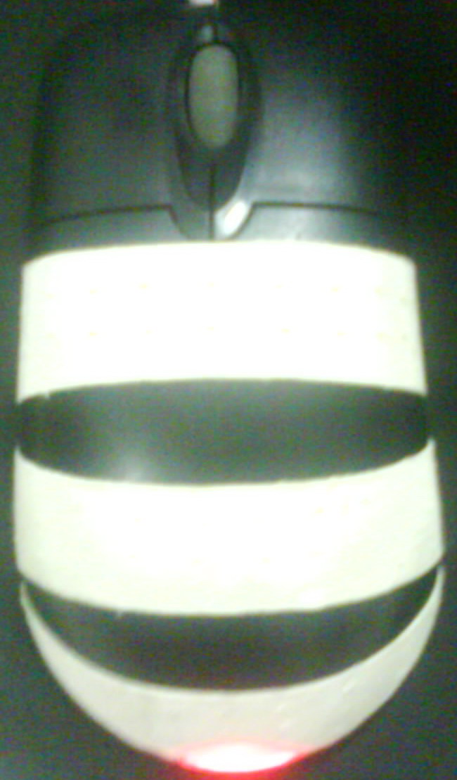 DSC01818.jpg