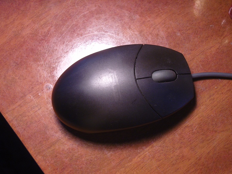 SNV85313.JPG