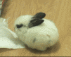 �����Ӵ��˯��ʱ��....