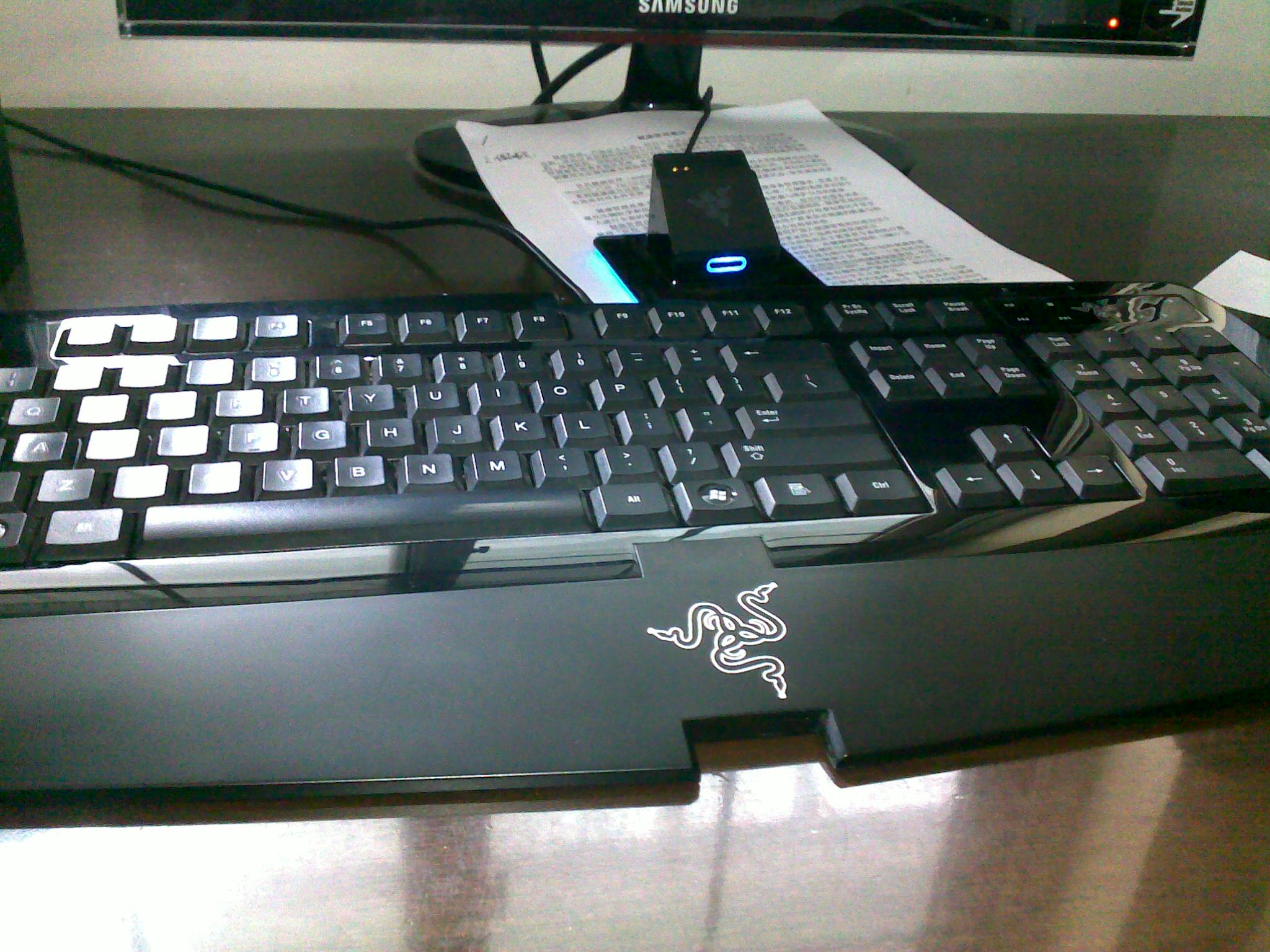 20100413124.jpg