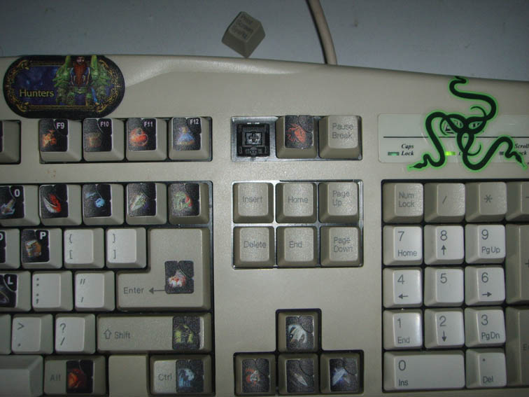 SSM14196.jpg