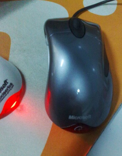 ���ĳ���9.5���� IE3.0 SE (Taiwan Only)��ɫ��