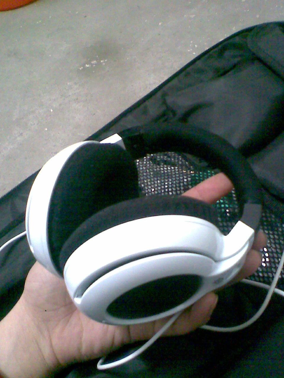 ���ѳ�������9.5���º�Ҹ��ڸ����롾�޽��ա�