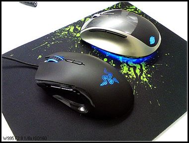 ��л������л��Щһ���ָ���������߿ӵ����ѣ�����������~