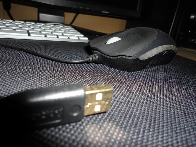 ������С DSC00038.JPG