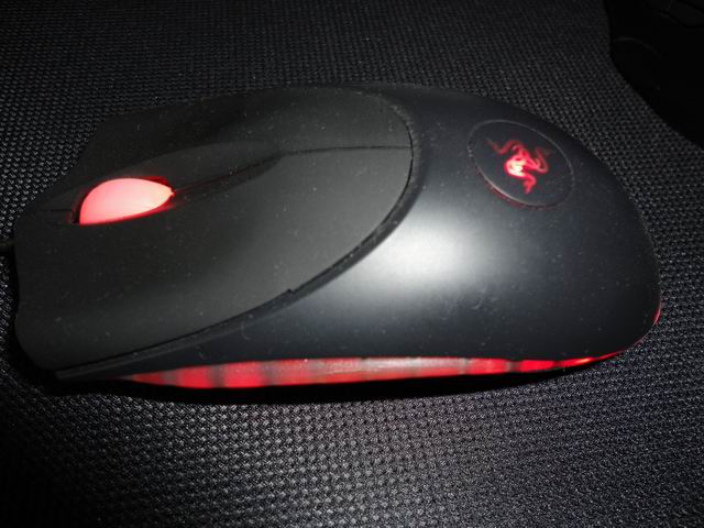 ������С DSC00041.JPG