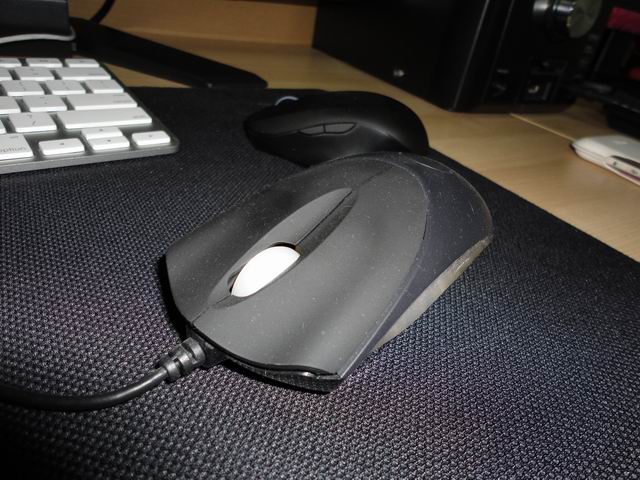 ������С DSC00039.JPG