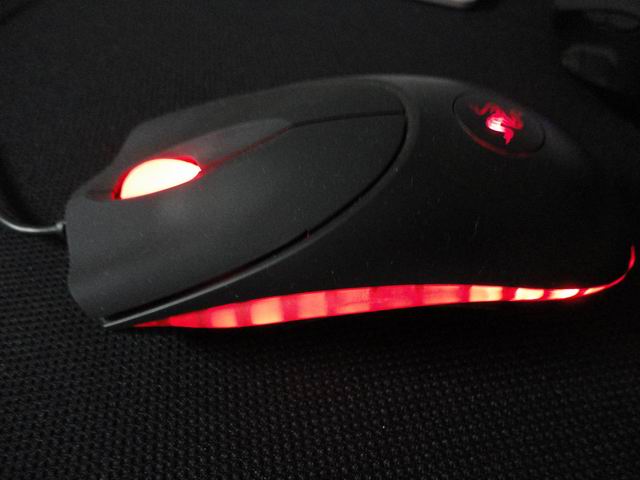 ������С DSC00042.JPG