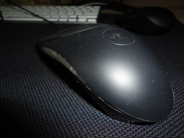 ������С DSC00036.JPG