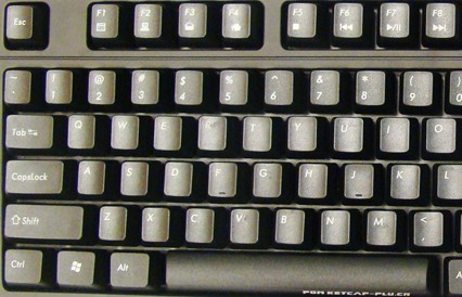 �Ա��ϸ��µ�plu����խ������