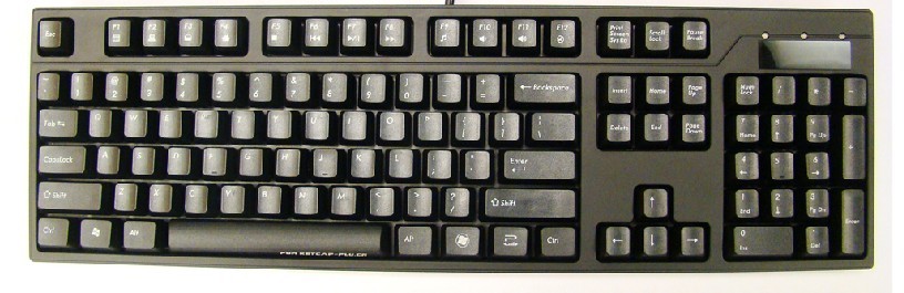 �Ա��ϸ��µ�plu����խ������