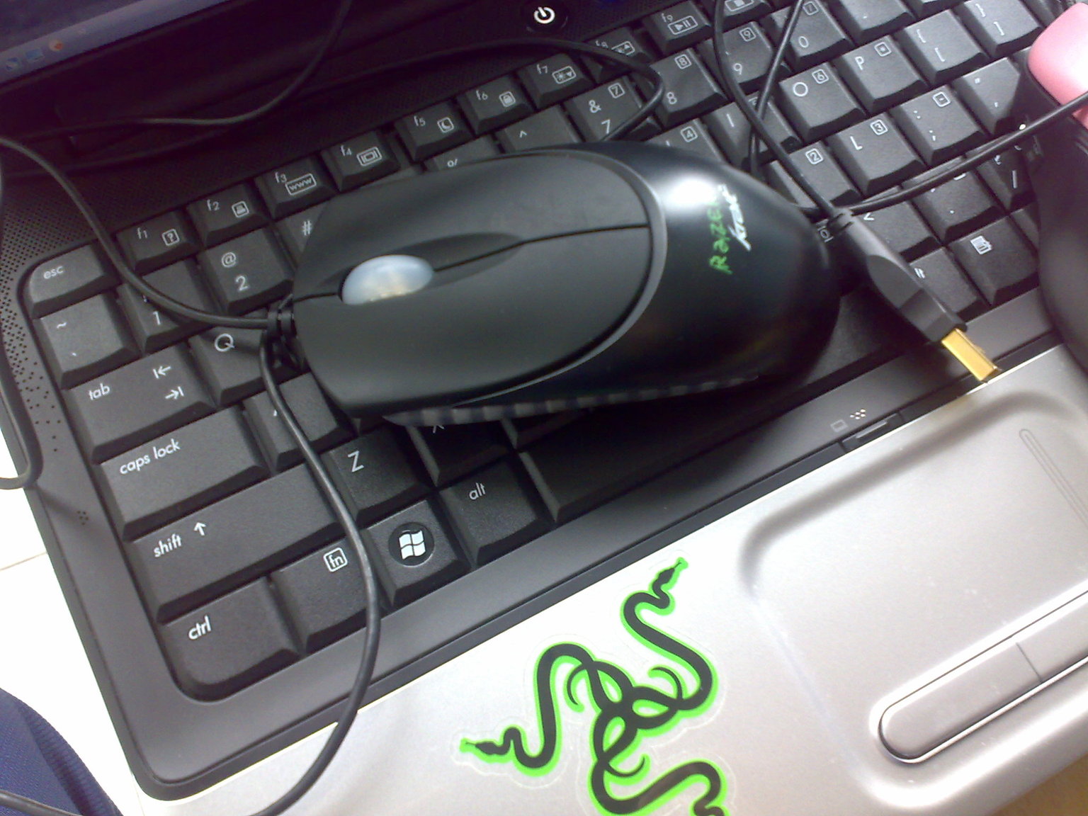 ���𻷡��ų��£���ͬ����ɫ��IE3.0