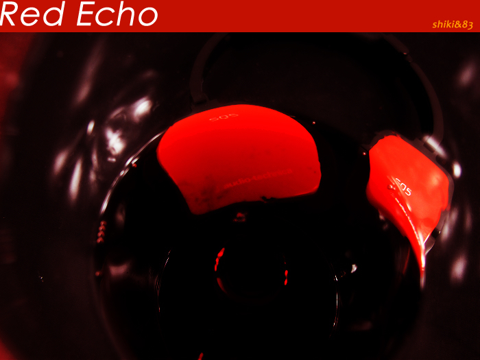 ��ת����RED ECHO