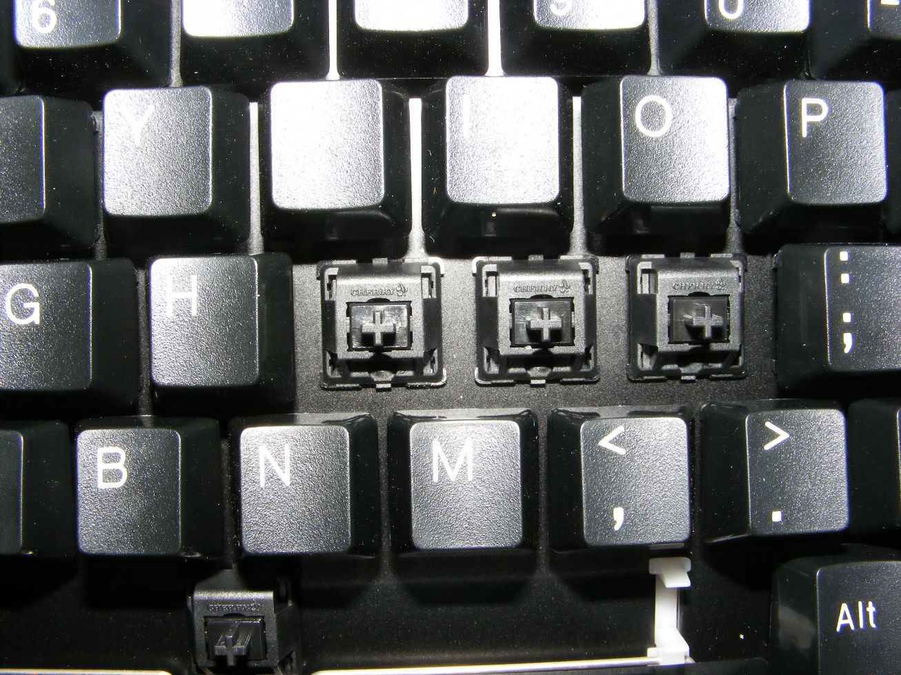 DSCF4551.JPG