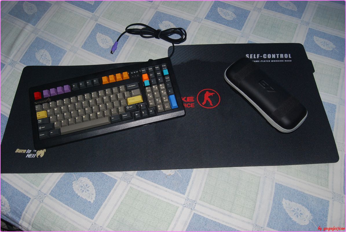 ����ʲô���ӵļ��� ���ҿ���������