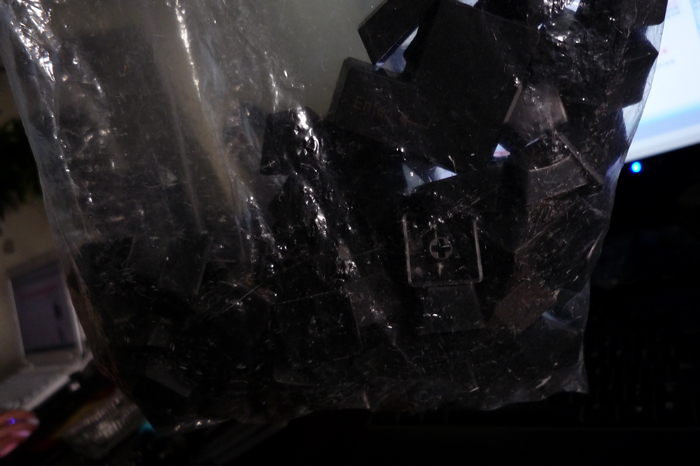 ���ճ�����TF KBC PLUM