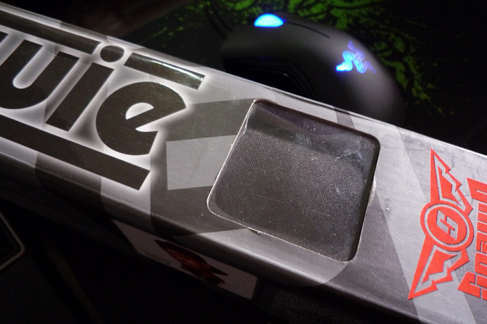 ���ճ�����TF KBC PLUM