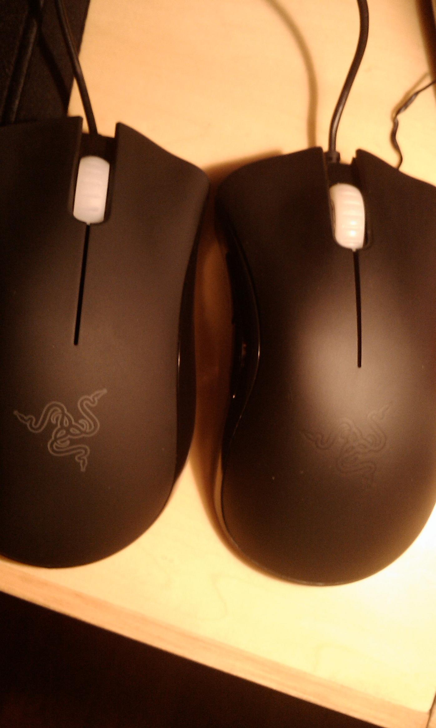 IMAG0175.jpg