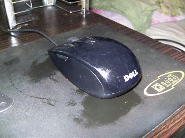 PICT0416.JPG