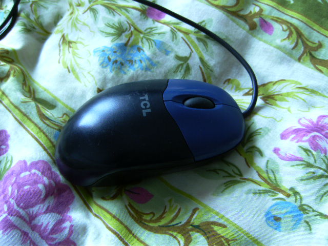 PICT0417.JPG