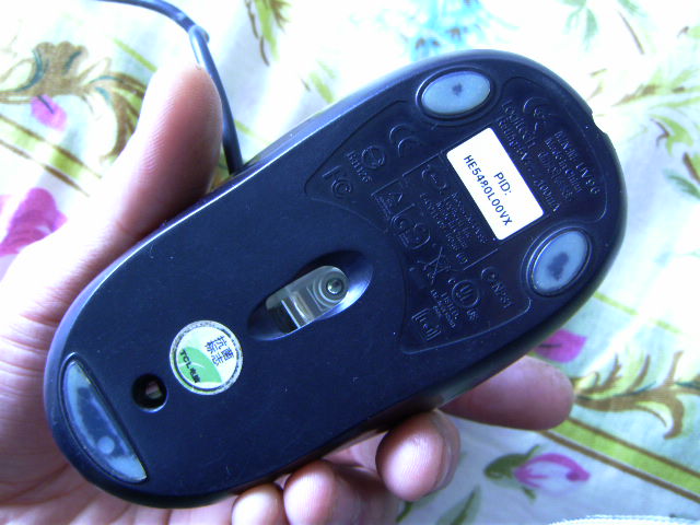 PICT0427.JPG