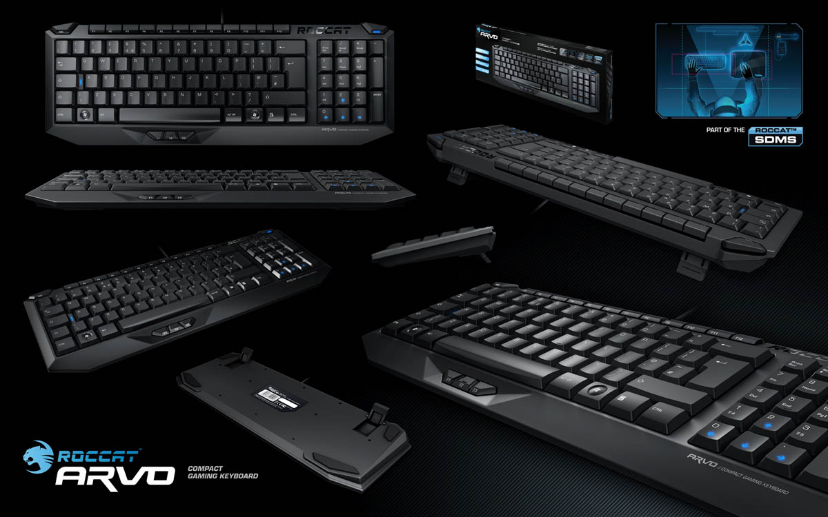 ��Ϸ�����е��������ᡪ����Roccat��½�й������´�ͼ��
