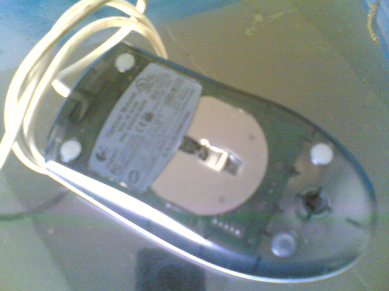 ����������һ�ѣ�һ��10Ԫ